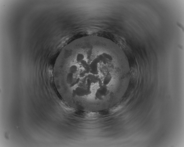 X0000097760527200803141726