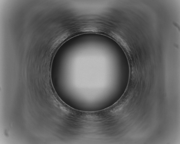 X0000097760529200803141725