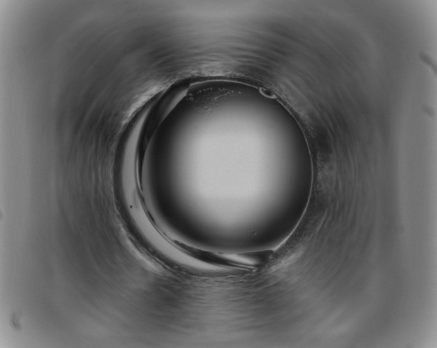 X0000097760530200803141725