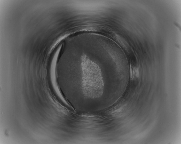 X0000097760531200803141725