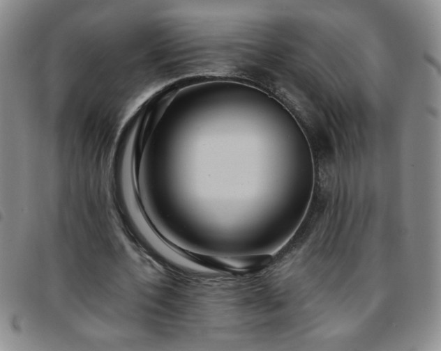 X0000097760532200803141725