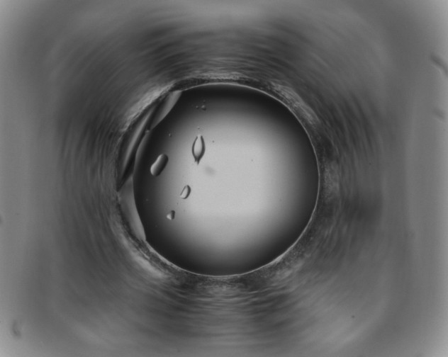 X0000097760533200803141725