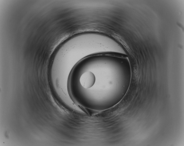 X0000097760534200803141725