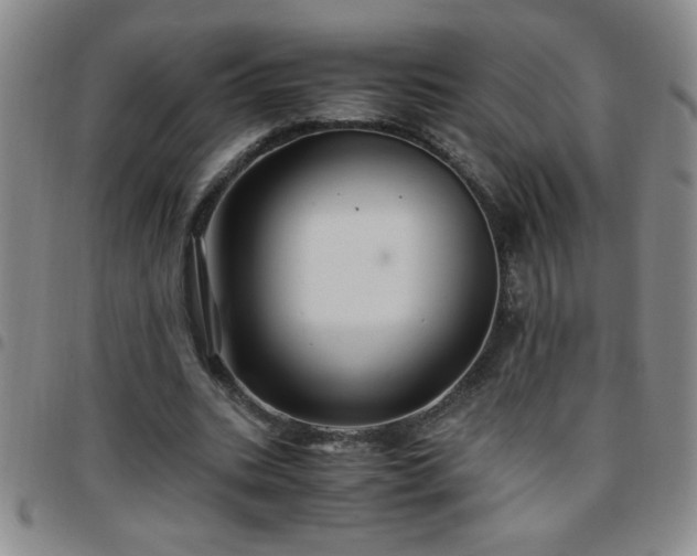 X0000097760535200803141725