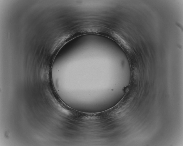 X0000097760537200803141725