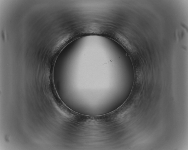 X0000097760538200803141725