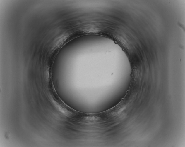 X0000097760541200803141725