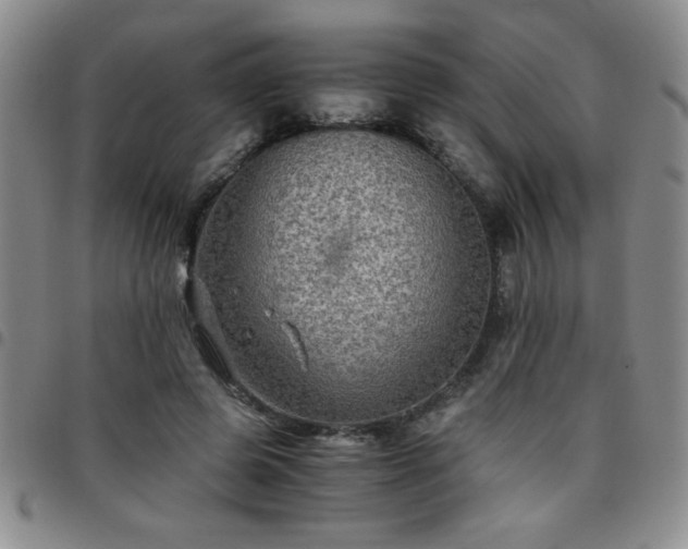 X0000097760545200803141725