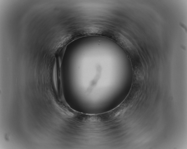 X0000097760546200803141725