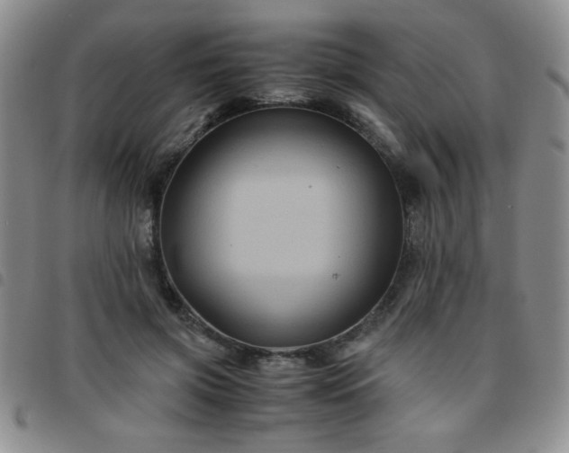 X0000097760549200803141725