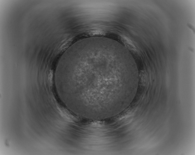 X0000097760550200803141725