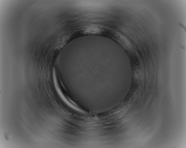 X0000097760551200803141725