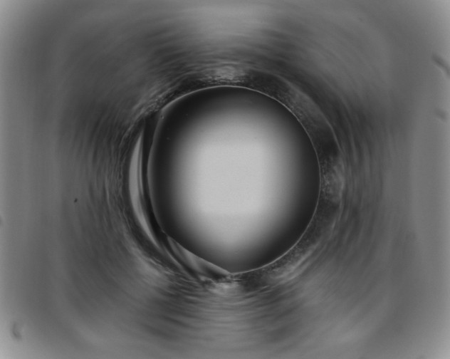 X0000097760552200803141725