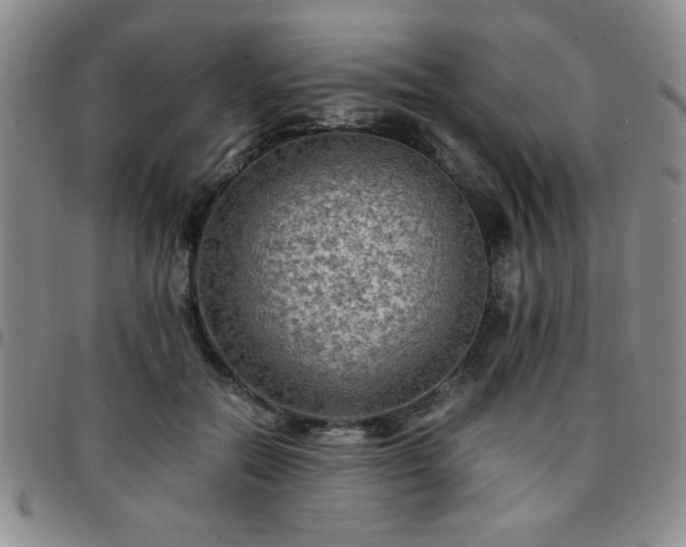 X0000097760554200803141725