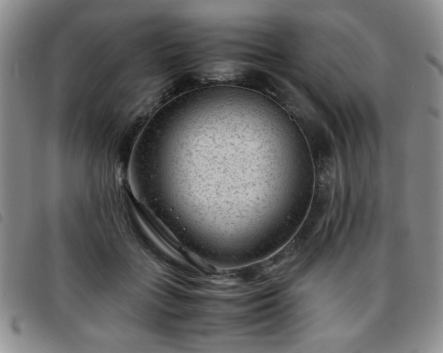 X0000097760555200803141725