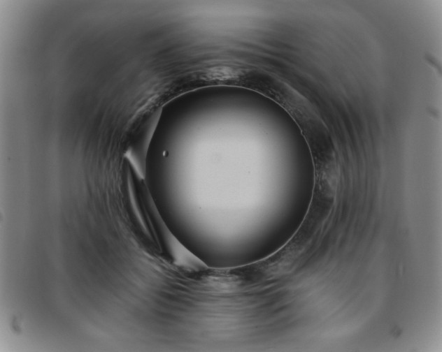 X0000097760556200803141725