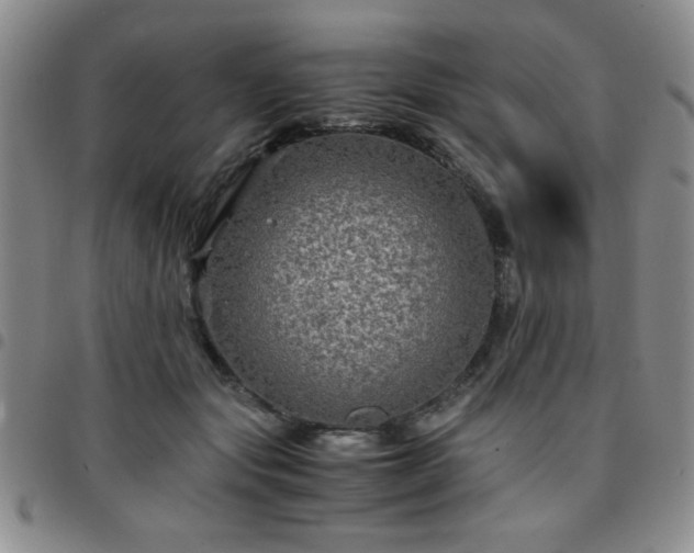 X0000097760557200803141725