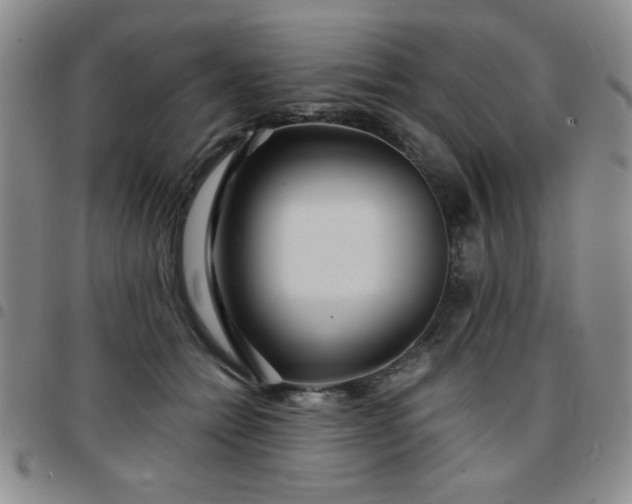 X0000097760558200803141725