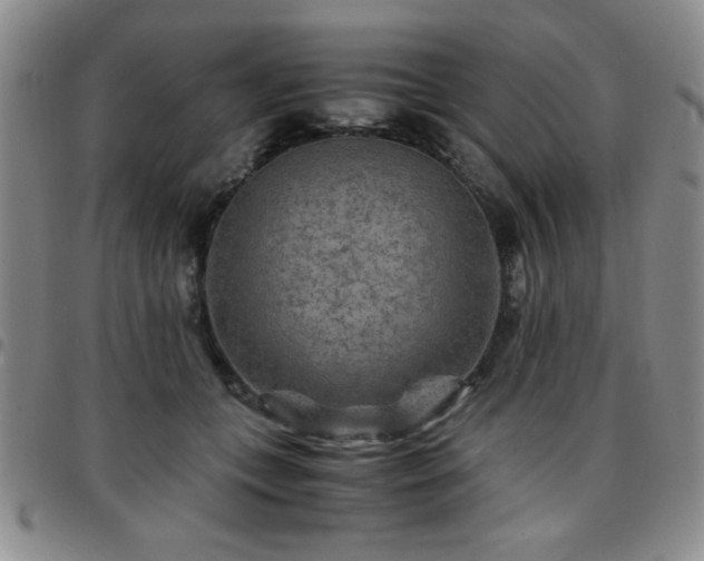 X0000097760559200803141725