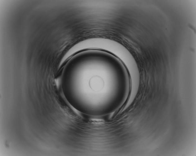 X0000097760560200803141725