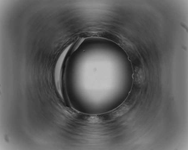 X0000097760562200803141725