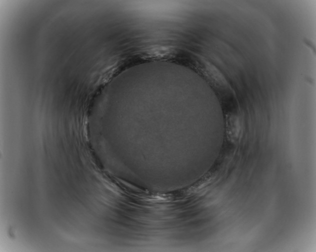 X0000097760563200803141725