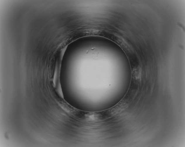 X0000097760564200803141725