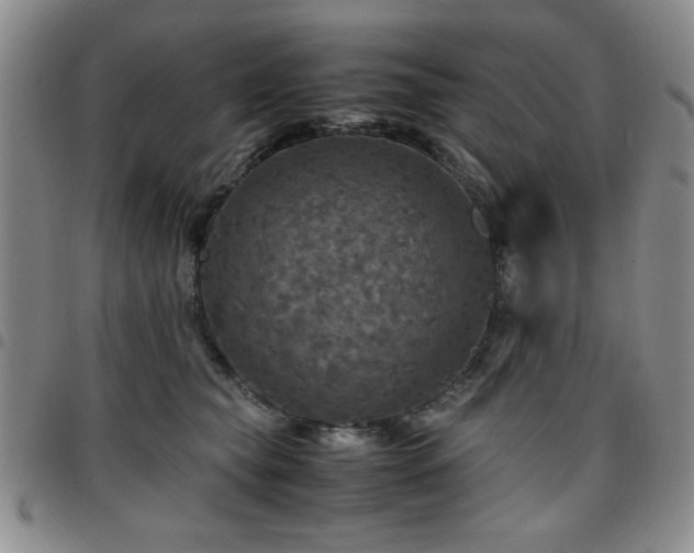 X0000097760565200803141725