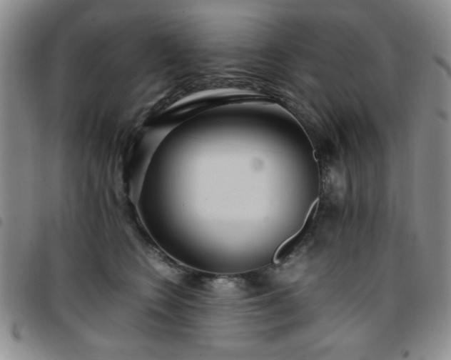 X0000097760566200803141725