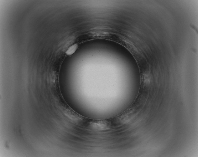 X0000097760567200803141725