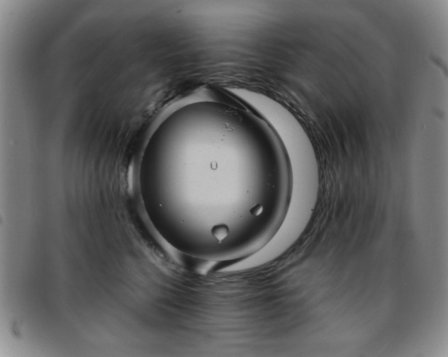 X0000097760568200803141725