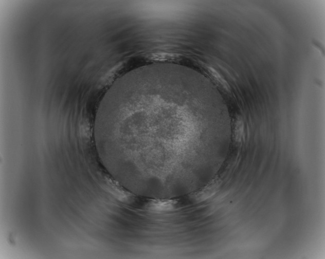 X0000097760569200803141725