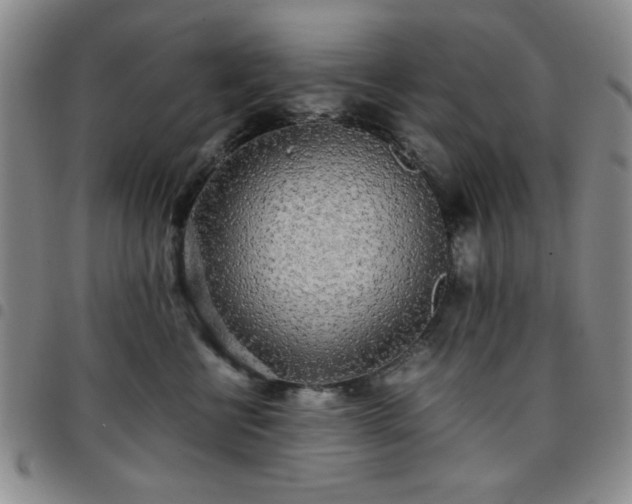 X0000097760570200803141726