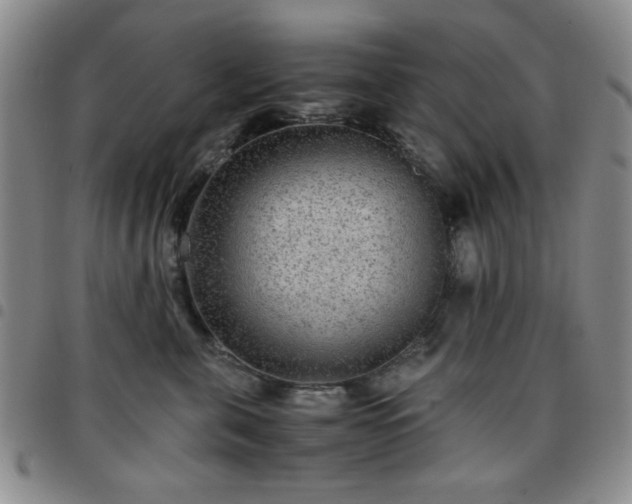 X0000097760571200803141726