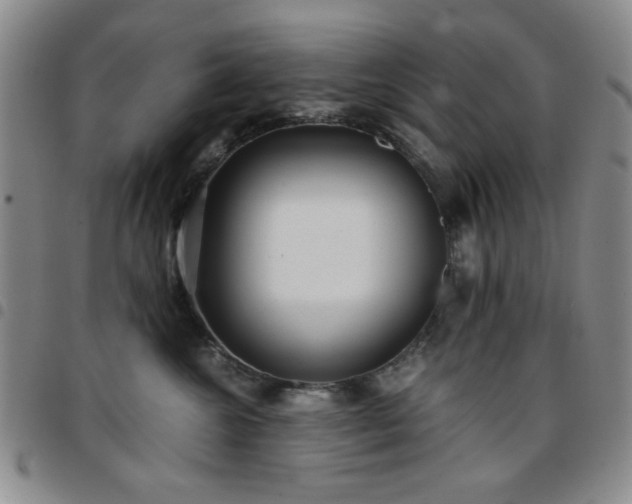 X0000097760572200803141726