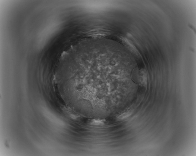 X0000097760573200803141726