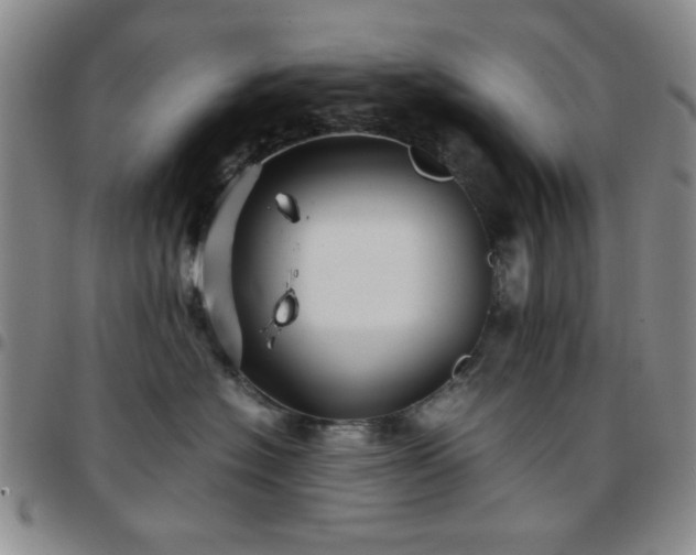 X0000097760574200803141726