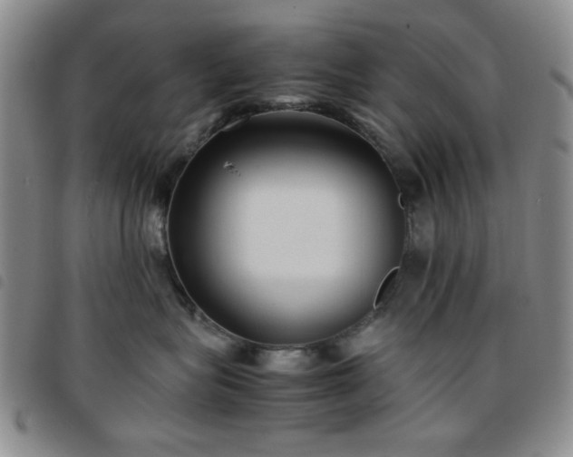 X0000097760575200803141726