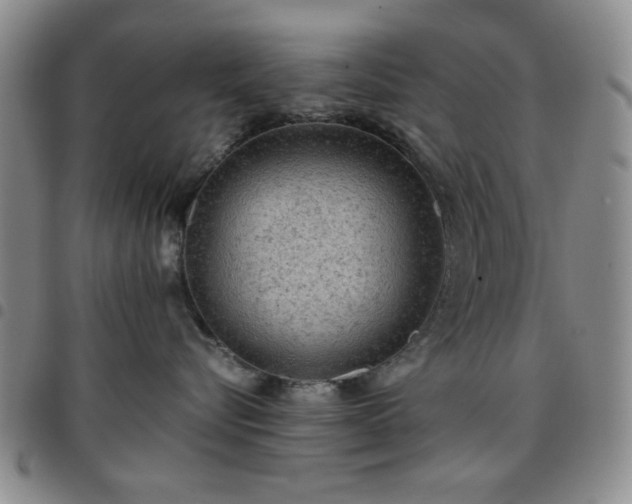 X0000097760576200803141726