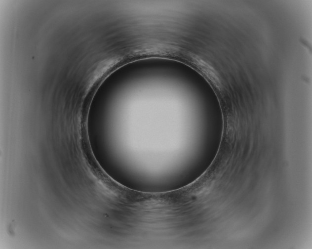 X0000097760578200803141725