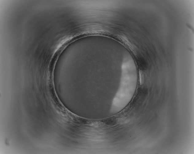 X0000097760579200803141725