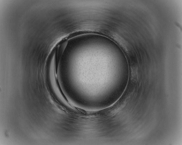 X0000097760580200803141725