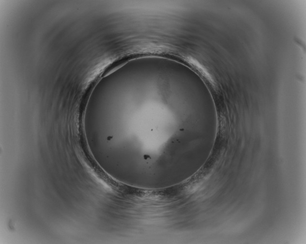 X0000097760581200803141725