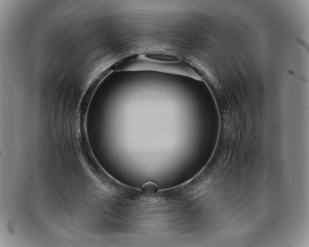 X0000097760582200803141725