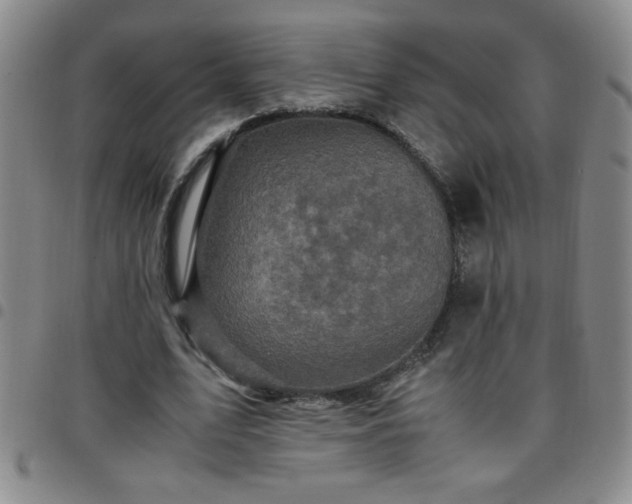 X0000097760583200803141725