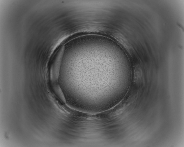 X0000097760584200803141725