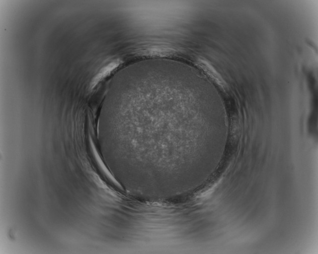 X0000097760585200803141725