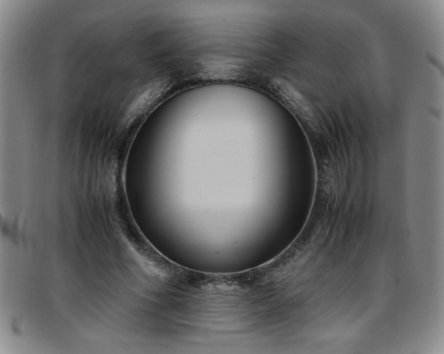 X0000097760586200803141725