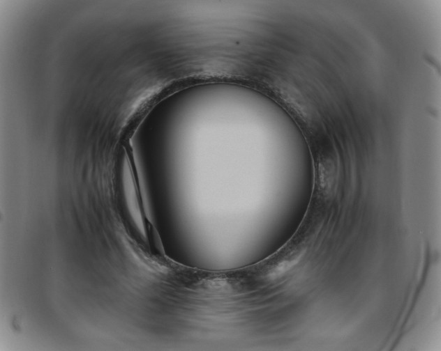 X0000097760588200803141725