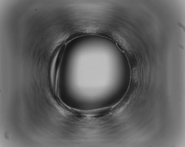 X0000097760589200803141725